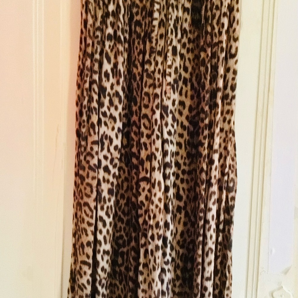 Cheetah Print Maxi Skirt